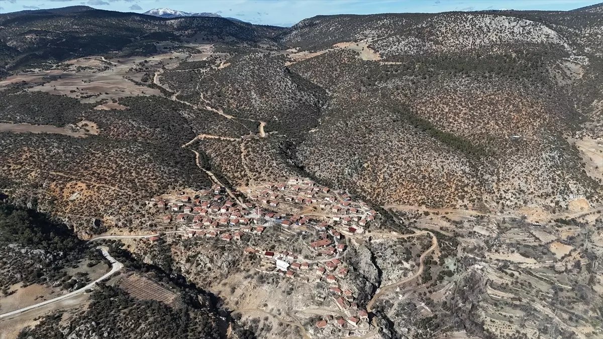 Karaman'da 1931 yaşındaki anıt ağaç asırlara meydan okuyor