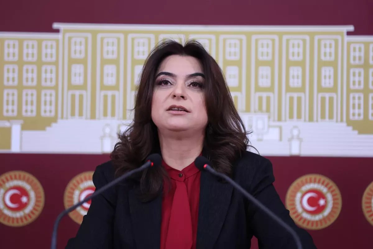 DEM Parti'li Koçyiğit: Süreç yasaları, hızlı bir şekilde Meclis'e getirilerek yasalaşmalı