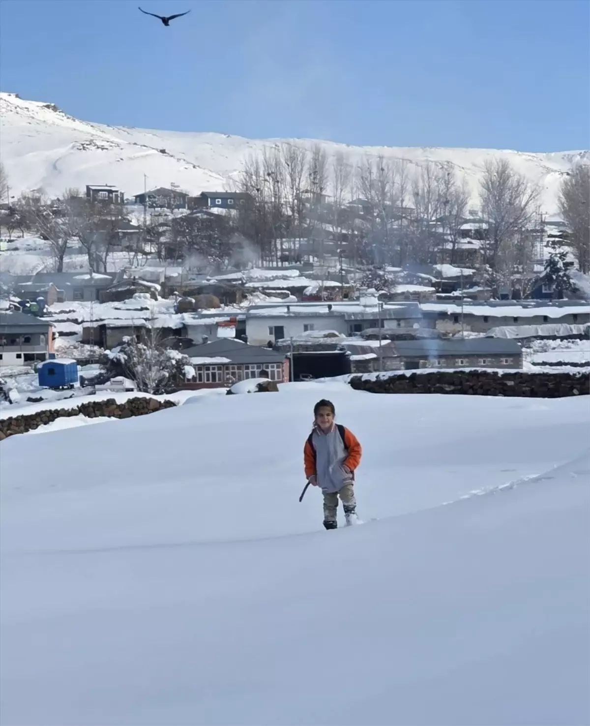 Erzurum, Ardahan, Kars ve Ağrı'da dondurucu soğuk hava etkili oluyor