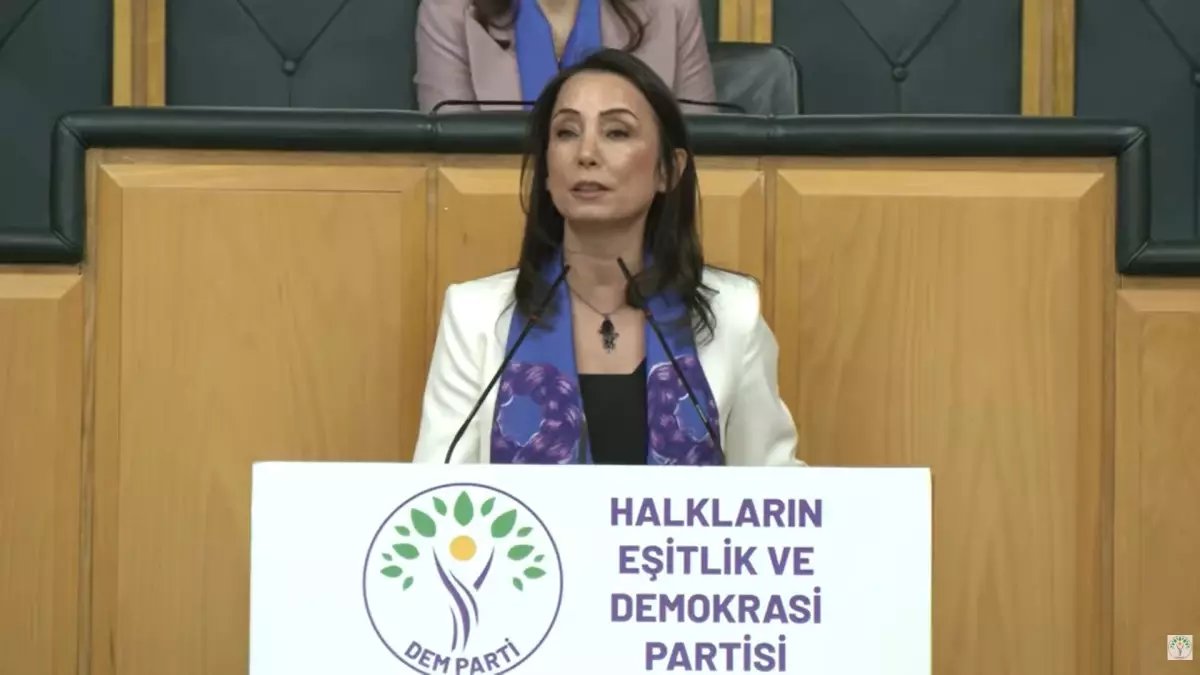 DEM Parti'li Hatimoğulları: AİHM ve AYM kararları uygulanmalı