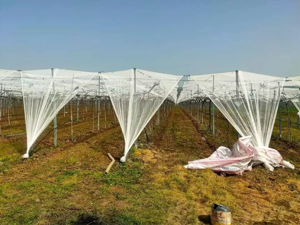 Dolu korkusuna fileli önlem