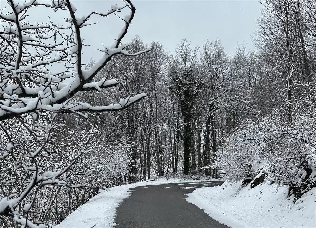 Gölyaka'nın yüksek kesimleri beyaz örtüyle kaplandı