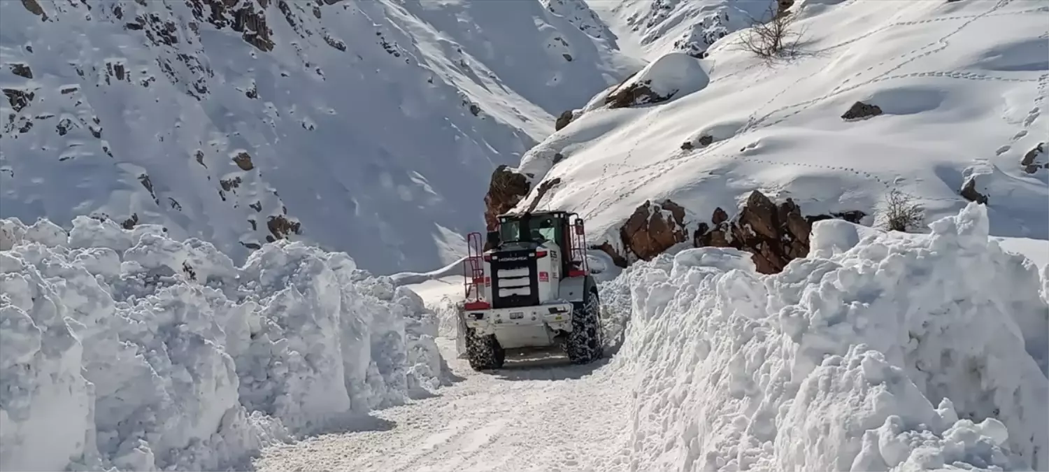 Yüksekova'da kapalı mezra yolu ulaşıma açıldı