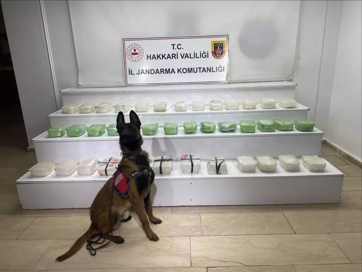 Yüksekova'da 59 kilo 971 gram uyuşturucu ele geçirildi; 3 gözaltı