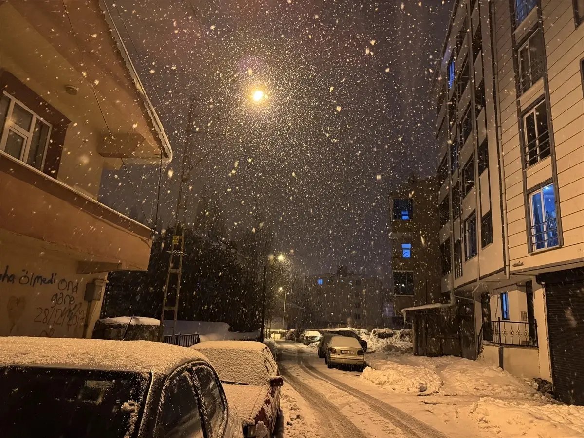 Ardahan'da kar yağışı etkili oldu