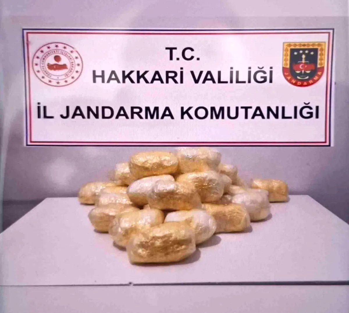 Hakkari'de tırda 15 kilo 263 gram metamfetamin ele geçirildi