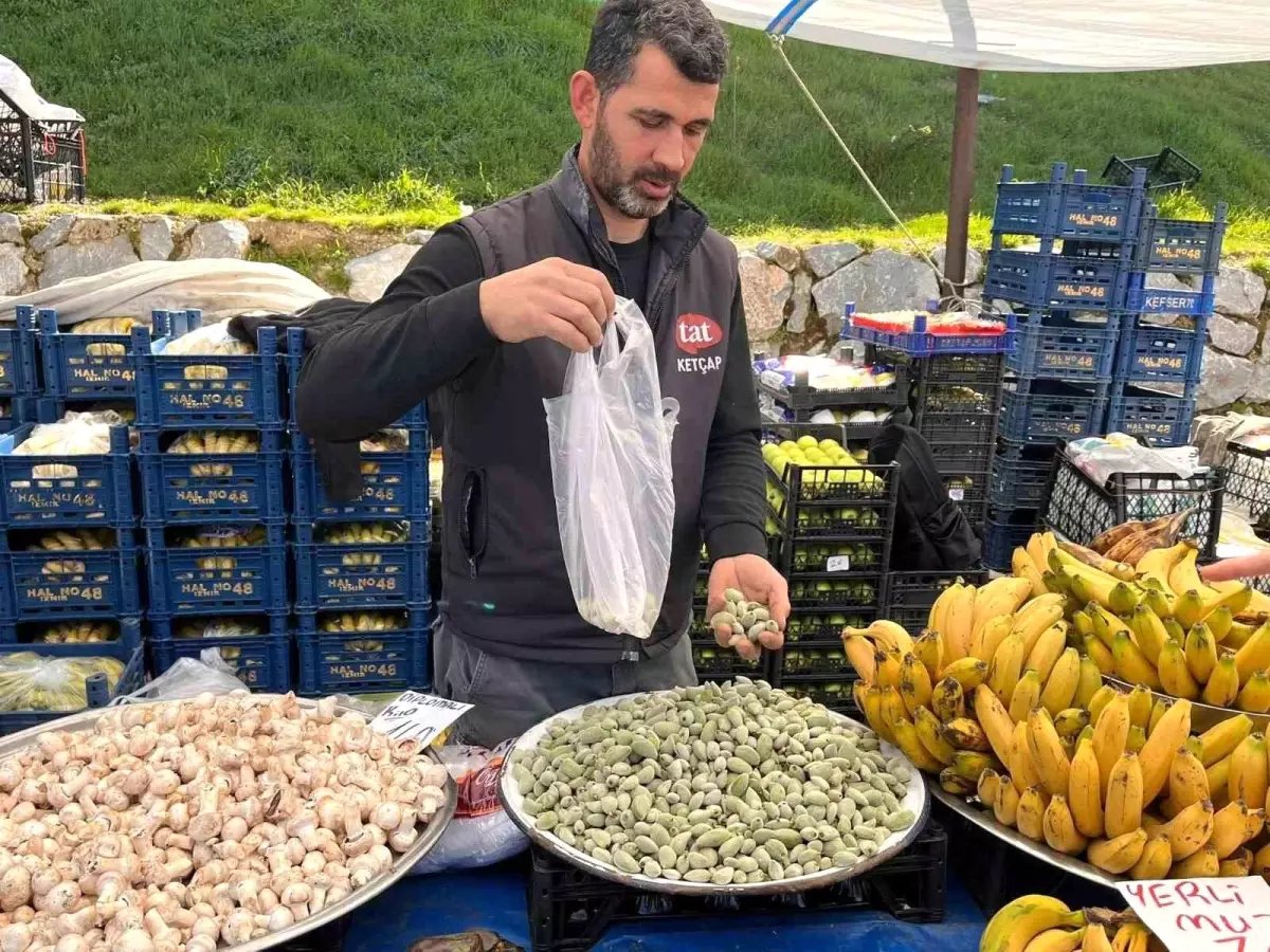 Datça Bademi, Yatağan'daki pazar tezgahlarında yerini aldı