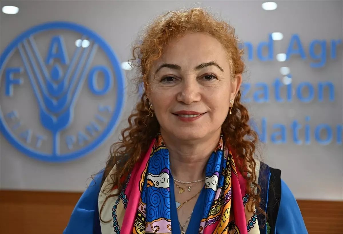 ÜRETİMLE GÜÇLENEN KADINLAR - FAO, projelerle kadınları girişimciliğe cesaretlendiriyor