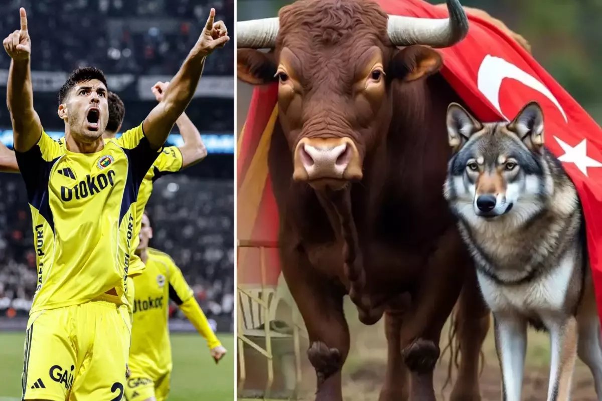 Marco Asensio da olan bitene kayıtsız kalamadı