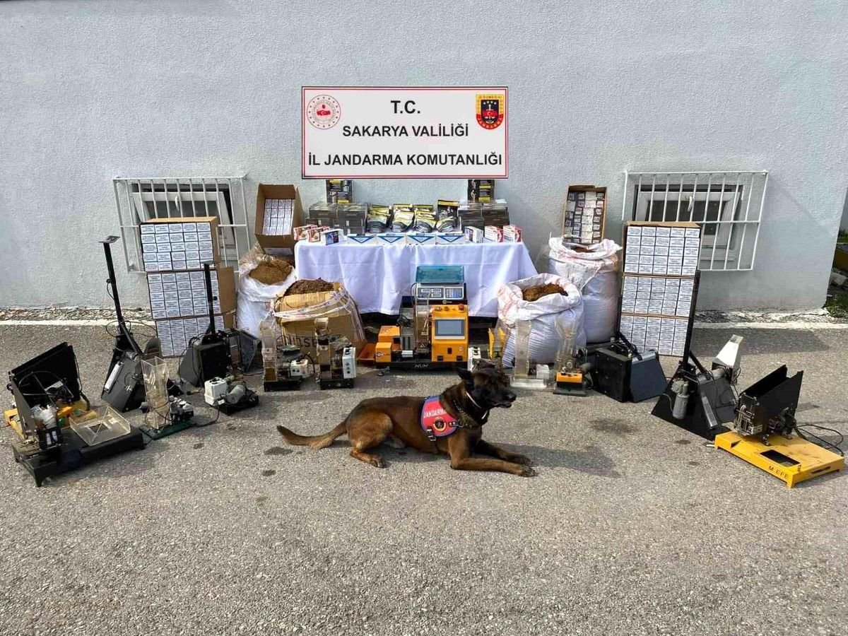 Sakarya'da kaçak tütün operasyonu