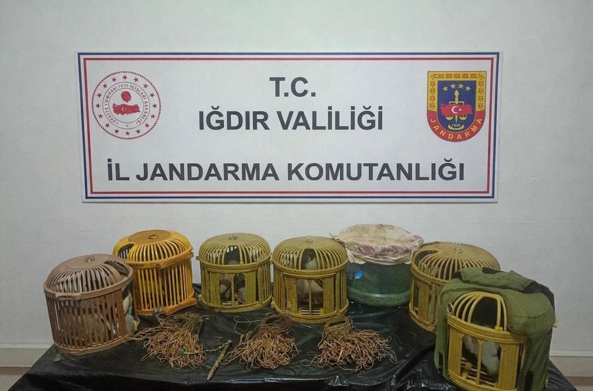 Iğdır'da Kaçak Keklik Avlayanlara Yüksek Para Cezası