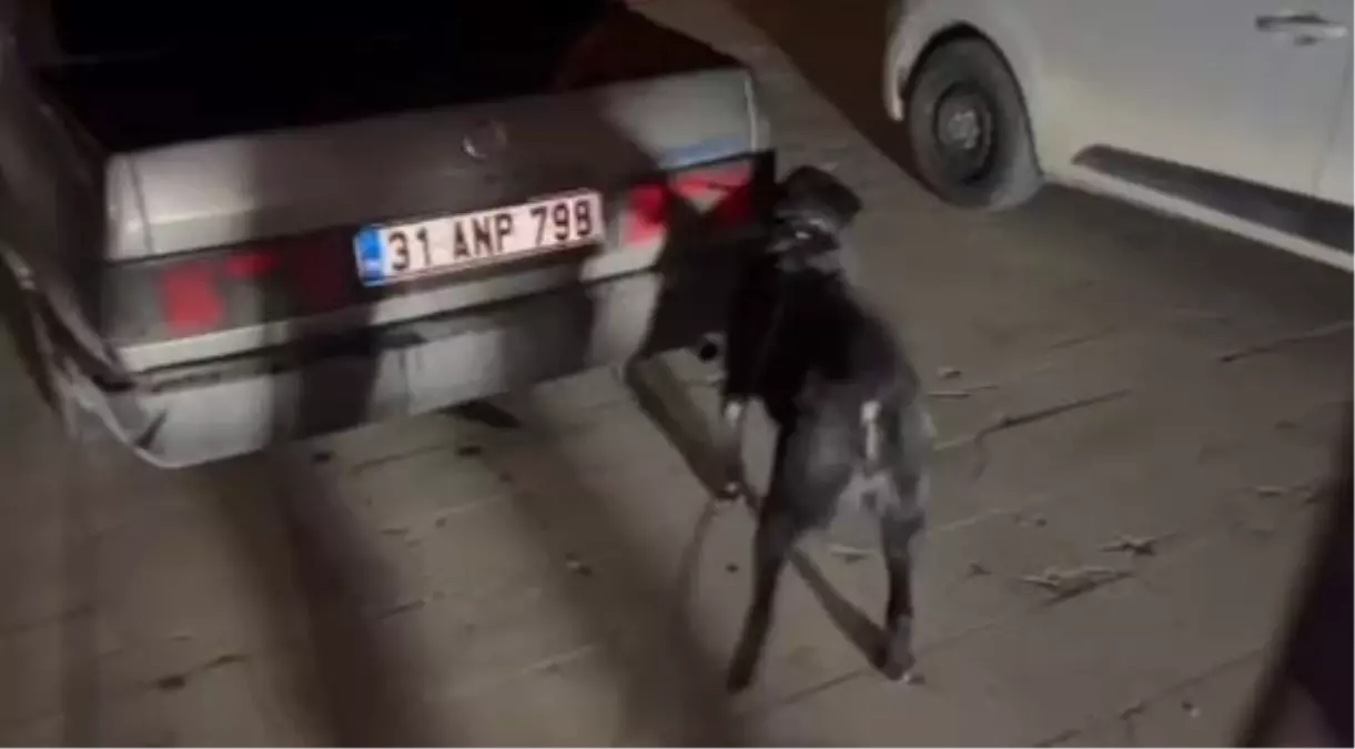 Hatay'da uyuşturucu operasyonu; 3 tutuklama