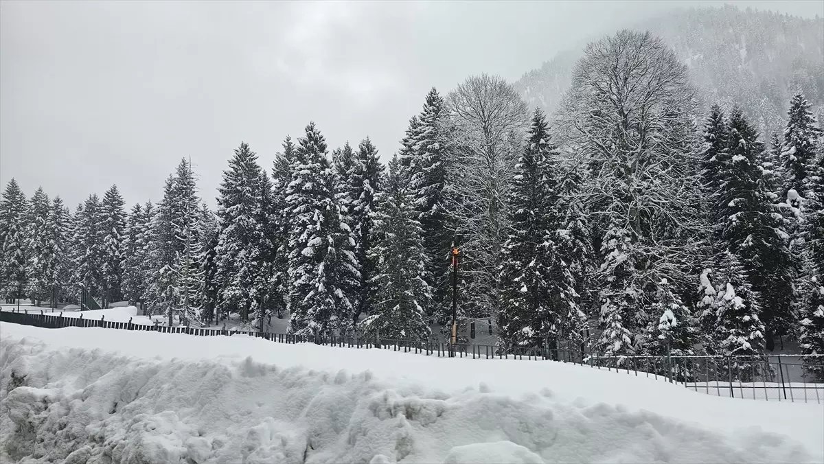 Rize ve Ordu'da kar etkili oldu