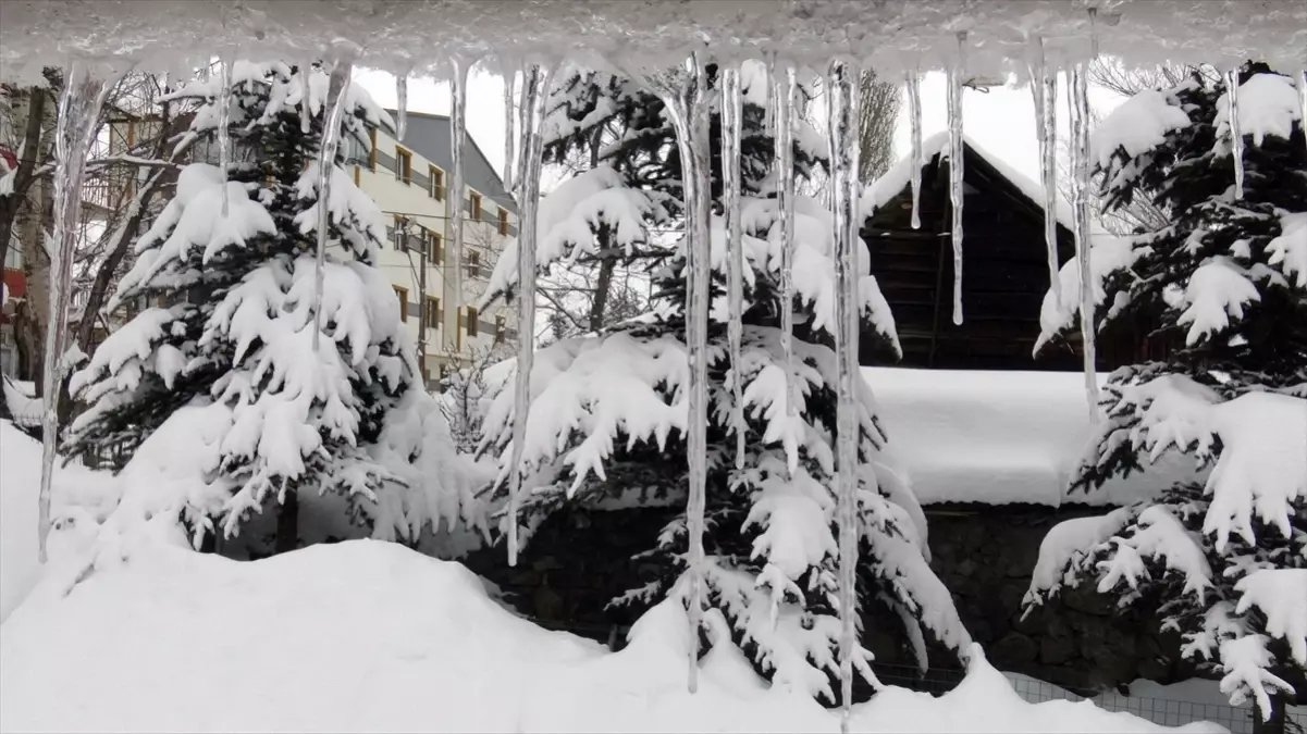 Erzurum, Ardahan ve Kars'ta soğuk hava etkisini sürdürüyor