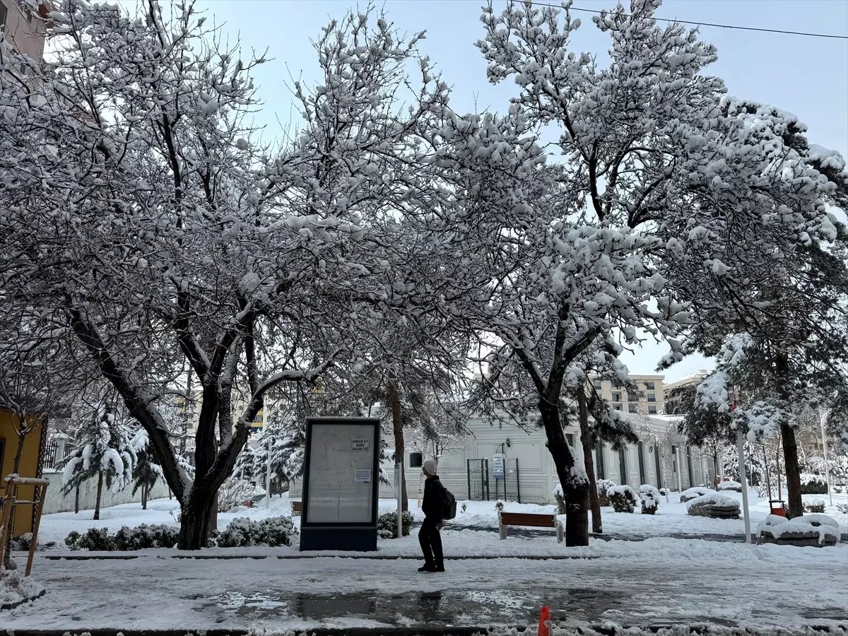 Doğu Anadolu'da Kar İşleri Engelledi