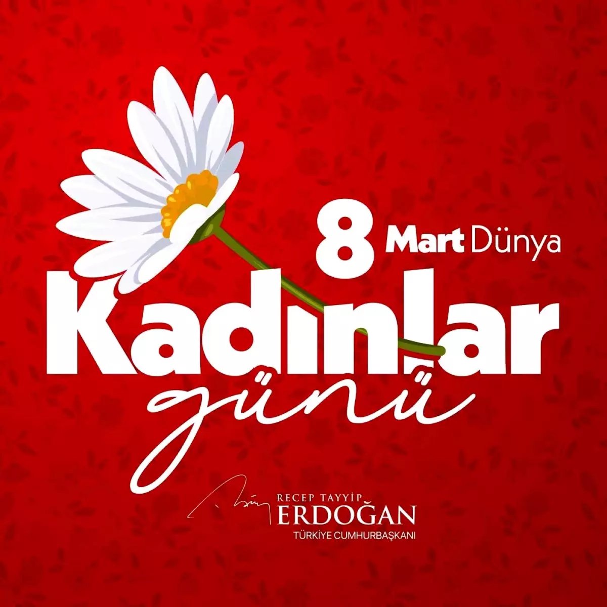 Cumhurbaşkanı Erdoğan: "Hayatımıza anlam katan, değer katan tüm kadınların 8 Mart Dünya Kadınlar Günü'nü tebrik ediyorum"