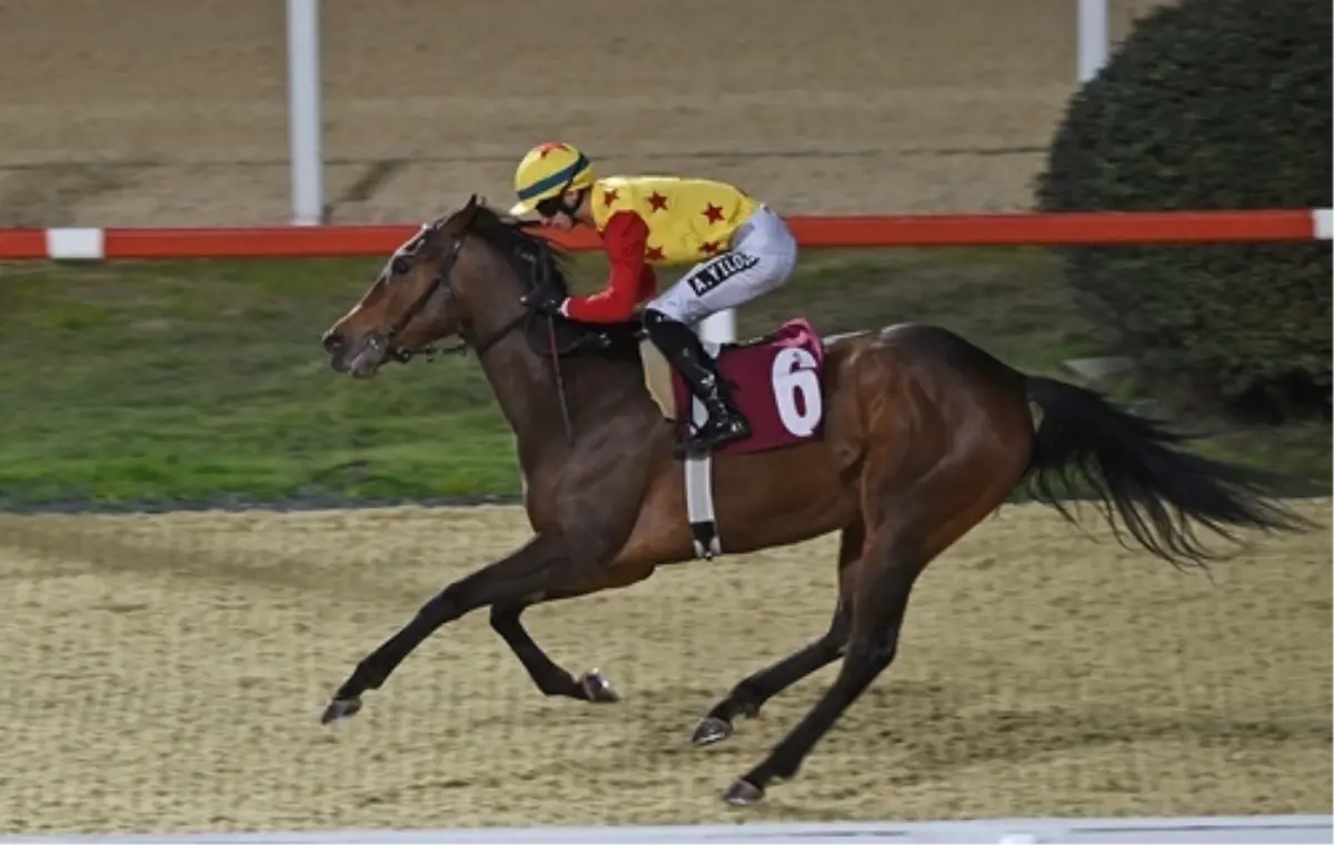 Dünya Kadınlar Günü Koşusu'nda kazanan Jaehaera oldu