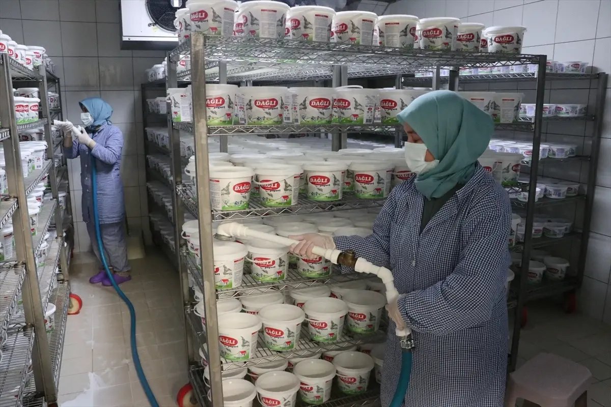 Tekirdağlı kadınlar her gün 7 ton sütü lezzete dönüştürüyor