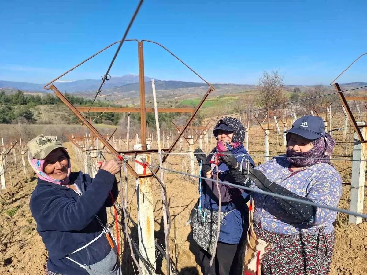 Sarıgöllü kadınlar 8 Mart'ı bağlarda çalışarak kutladı