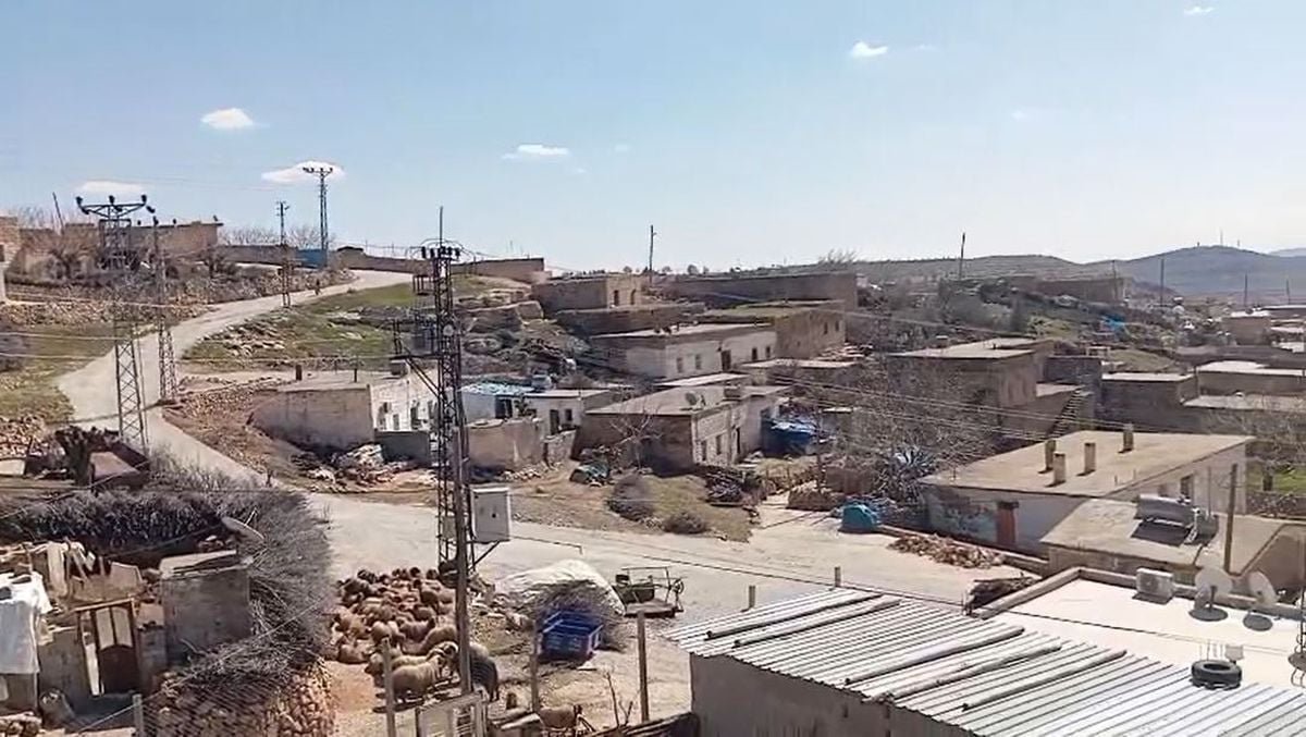 İnekteki kuduz şüphesi nedeniyle mahalle karantinaya alındı