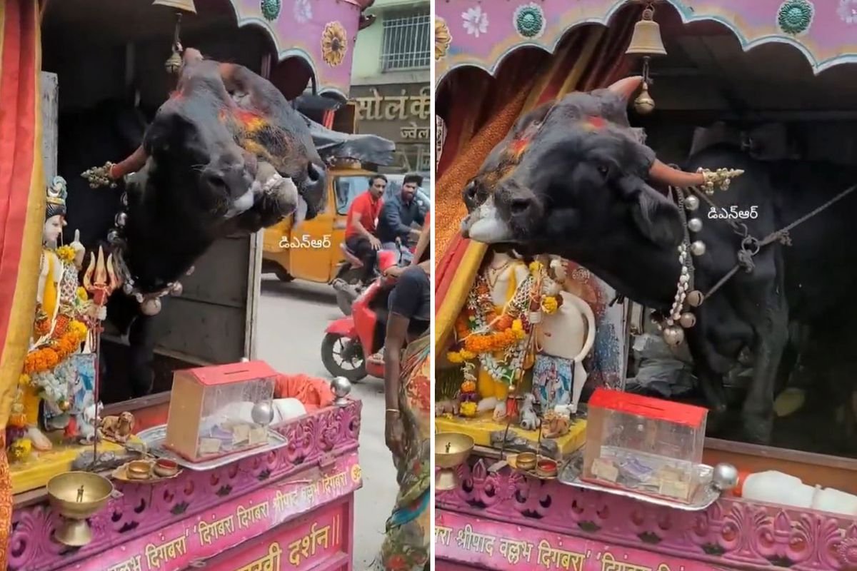 Genetik bozukluğu kazanç kapısı yaptı