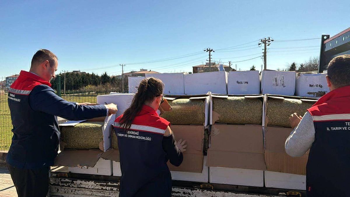 Tekirdağ'da baklavada kullanılacak 2 ton aflatoksinli fıstık ele geçirildi