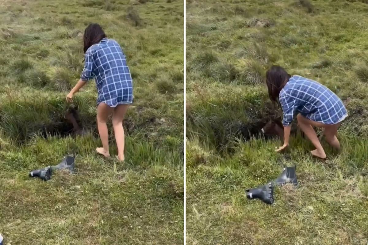 "Dünyayı sevgi kurtaracak" dedirten görüntü