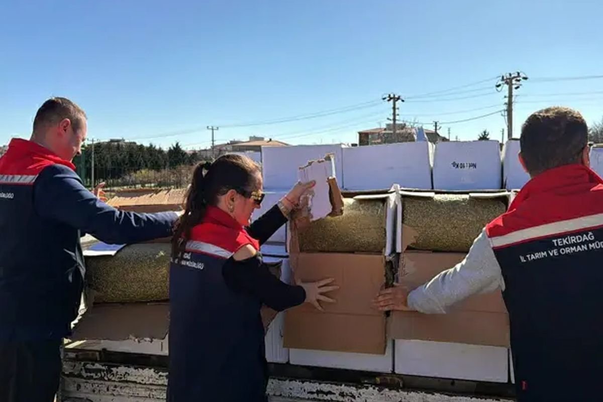 Baklavada kullanılacak kanserojen maddeli 2 ton fıstık ele geçirildi