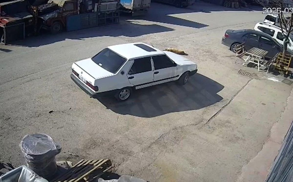 Yolda yatan köpeği ezdi, arkasına bakmadan uzaklaştı