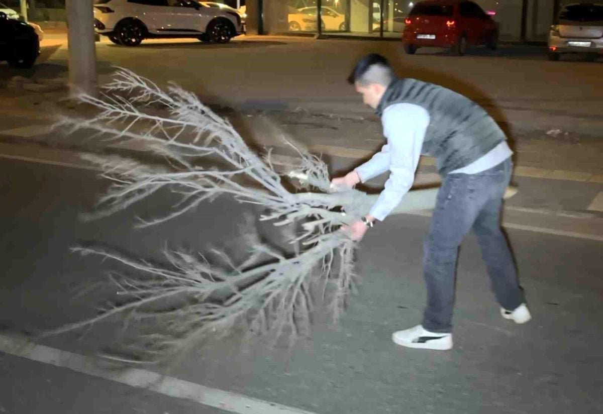Kaza sonrası cam ve plastik parçalarıyla dolan yolu vatandaş kırılan ağaçla böyle temizledi