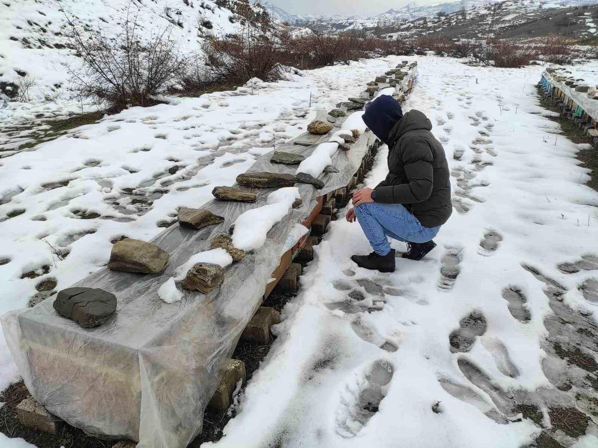 Birincilik getiren arılarını kış şartlarında özenle koruyor