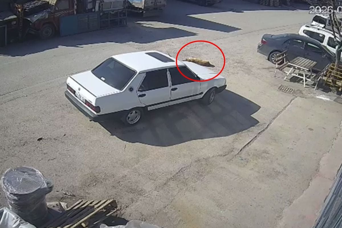 Allah ıslah etsin! Mübarek Ramazan günü kaydedilen görüntüye bakın