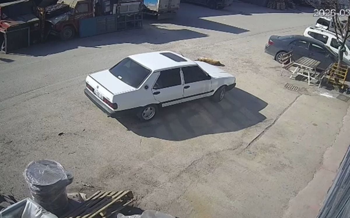 Köpeğin üzerinden otomobili ile geçip, sürükleyen sürücü gözaltında