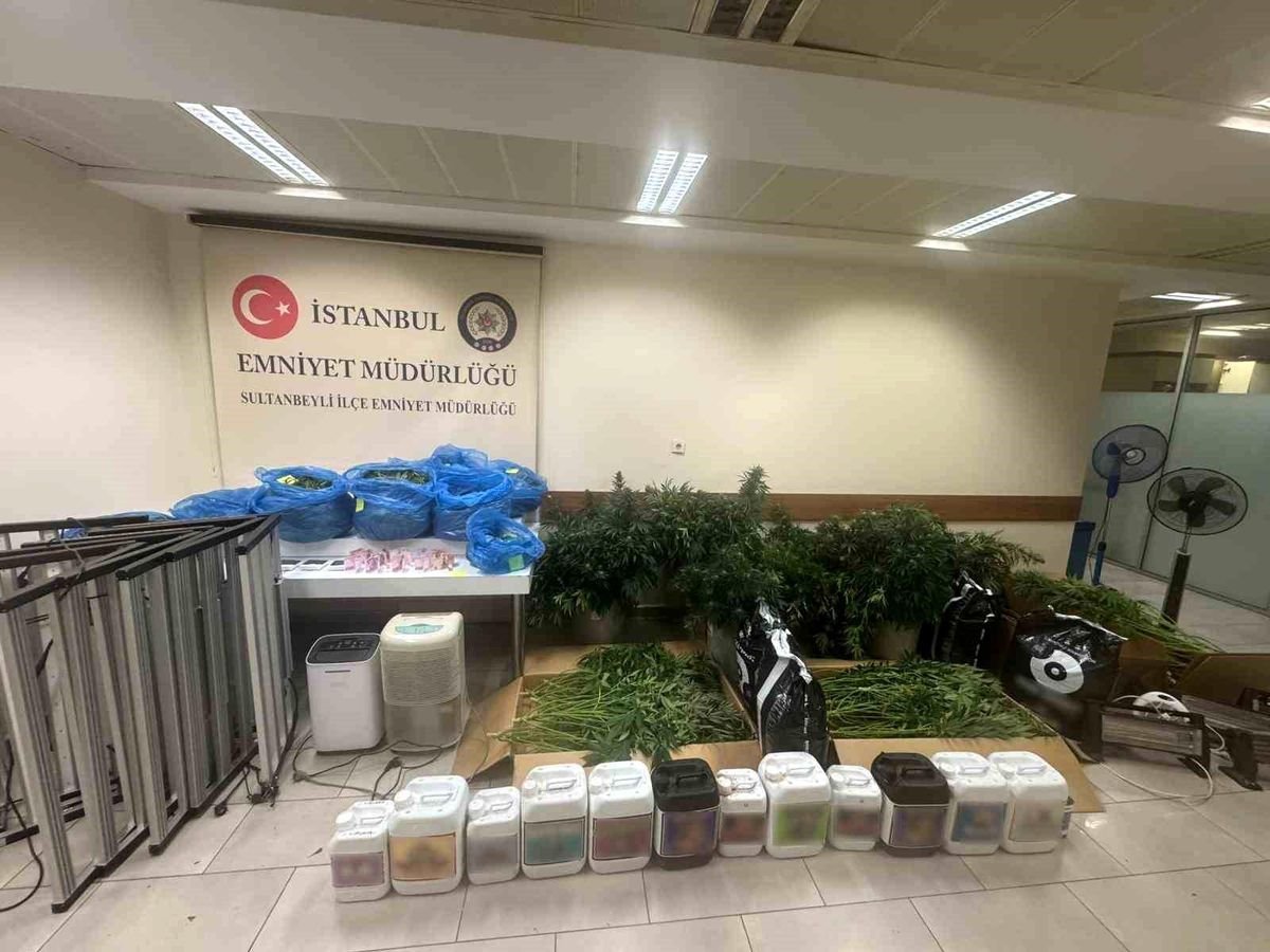 Sultanbeyli'de kenevir serasına baskın: 21 kilo Hint keneviri ele geçirildi