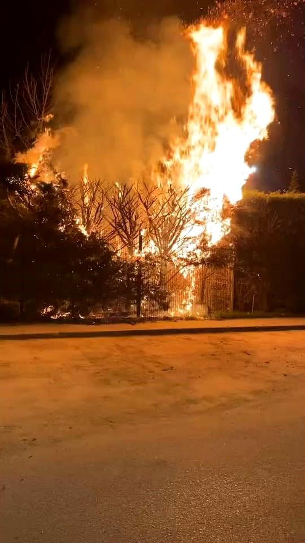 Sebepsiz yere ateşe verilen ağaç itfaiyeyi harekete geçirdi