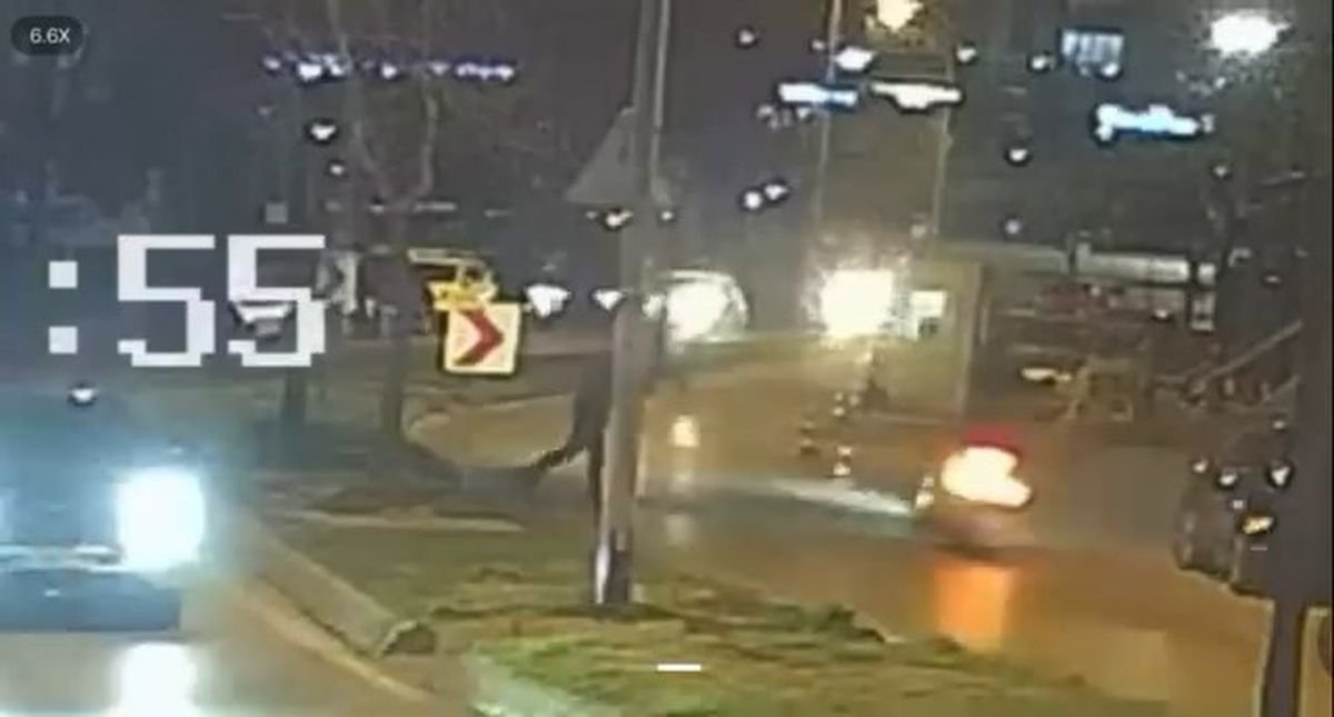 KARTAL'da motosiklet sürücüsü bekçinin attığı cisim sonucu ağaca çarptı