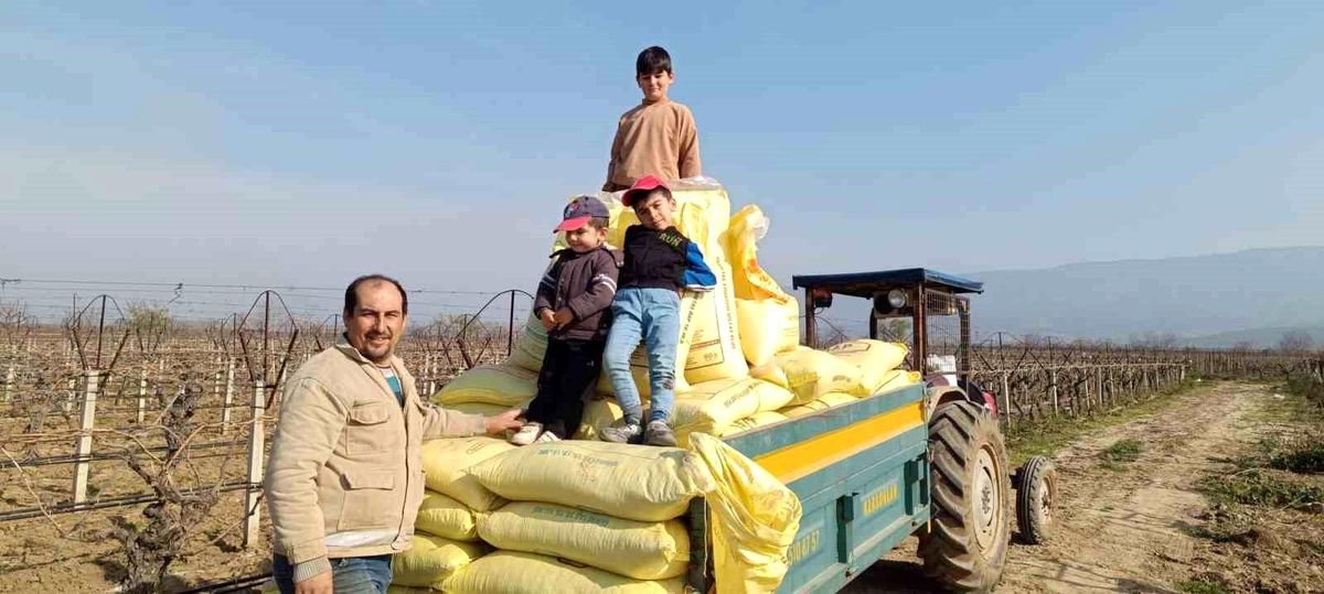 Sarıgöl bağlarında gübreleme çalışmaları başladı
