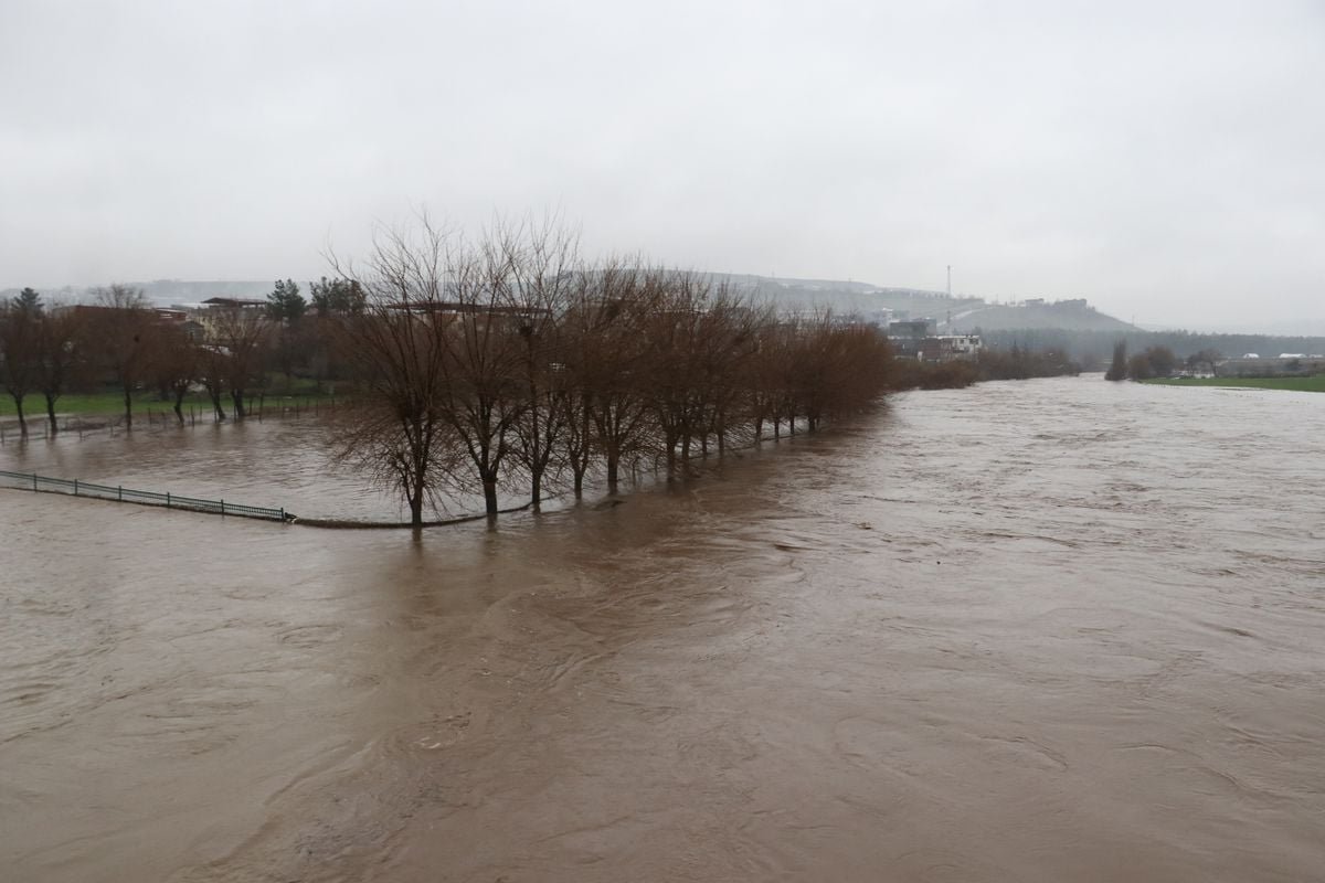Diyarbakır'da sağanak sonrası dereler taştı, tarım arazilerini su bastı