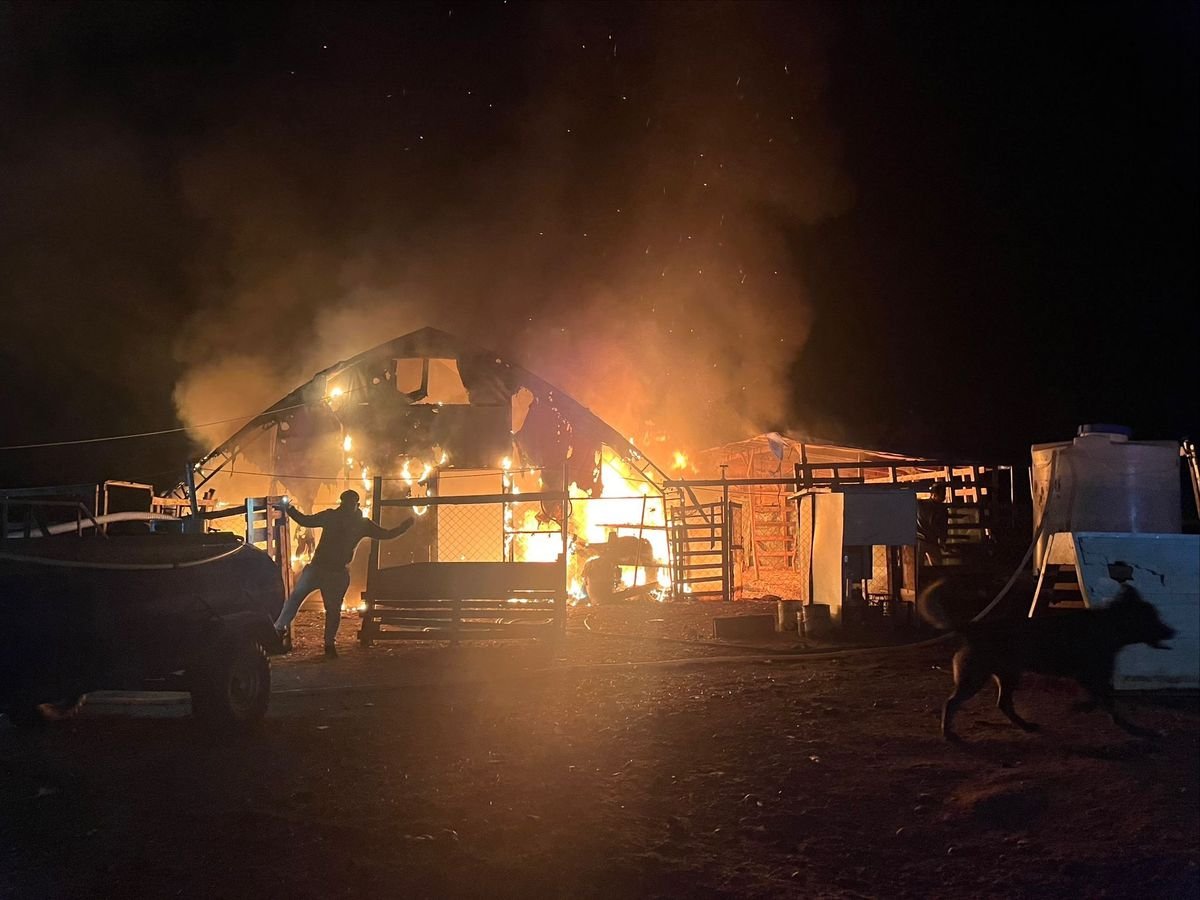 Kanatlı ve küçükbaş hayvan çiftliğinde yangın: 580 hayvan öldü