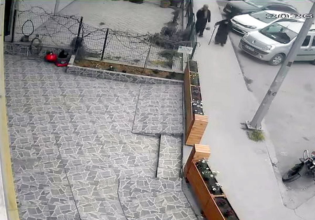 Avcılar'da bastonla geldi; iş yeri önündeki çiçekleri kökünden söküp çaldı