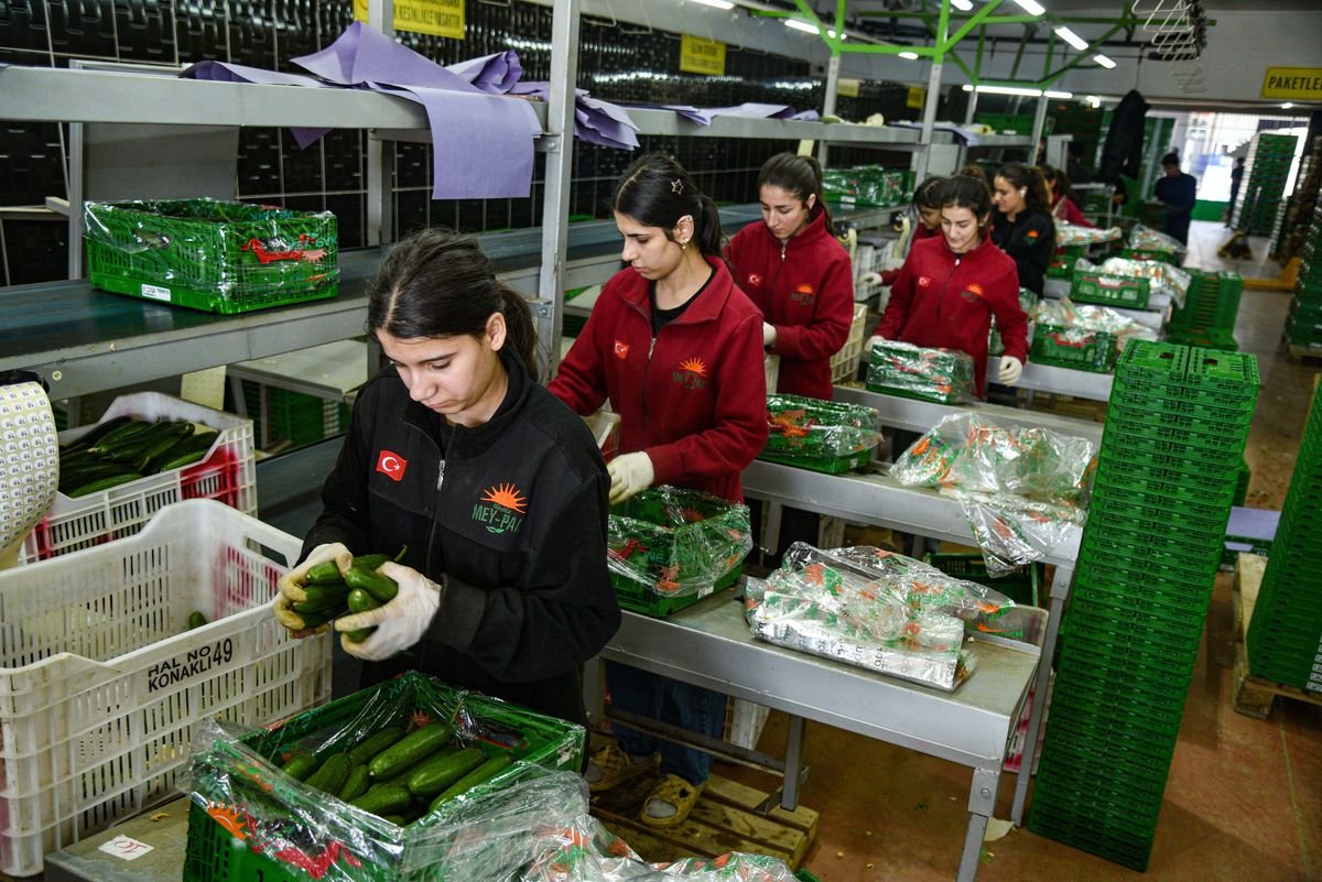 Rusya, İran'dan Aldığı Sebze ve Meyve İhtiyacını Türkiye'den Karşılıyor