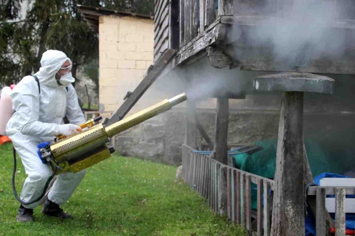Ordu'da kahverengi kokarca ile kışlak mücadelesi: 330 bin noktadan 190 bini ilaçlandı